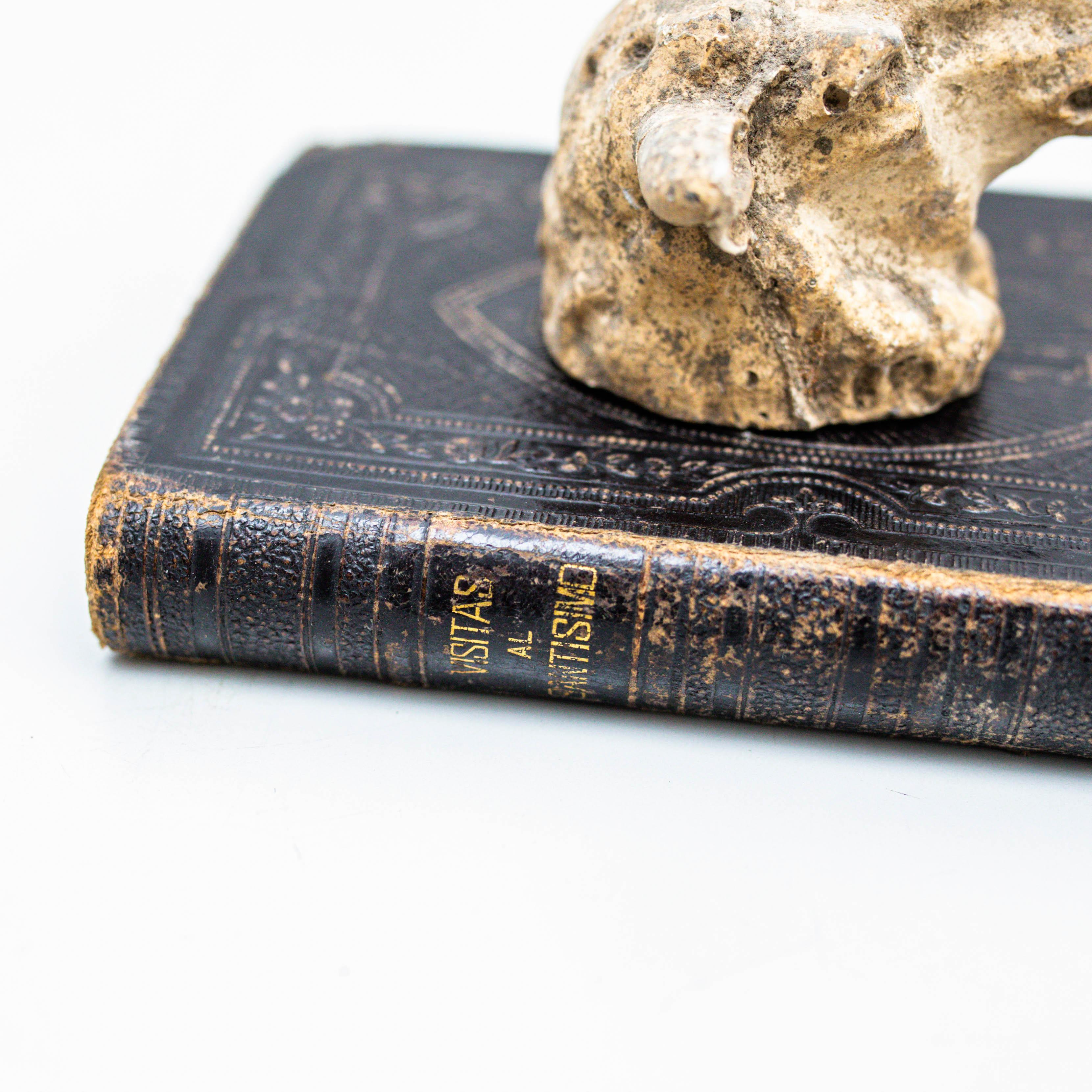 Opera d'arte con vecchio libro e scultura di testa di animale misterioso, circa 1990 in vendita 1