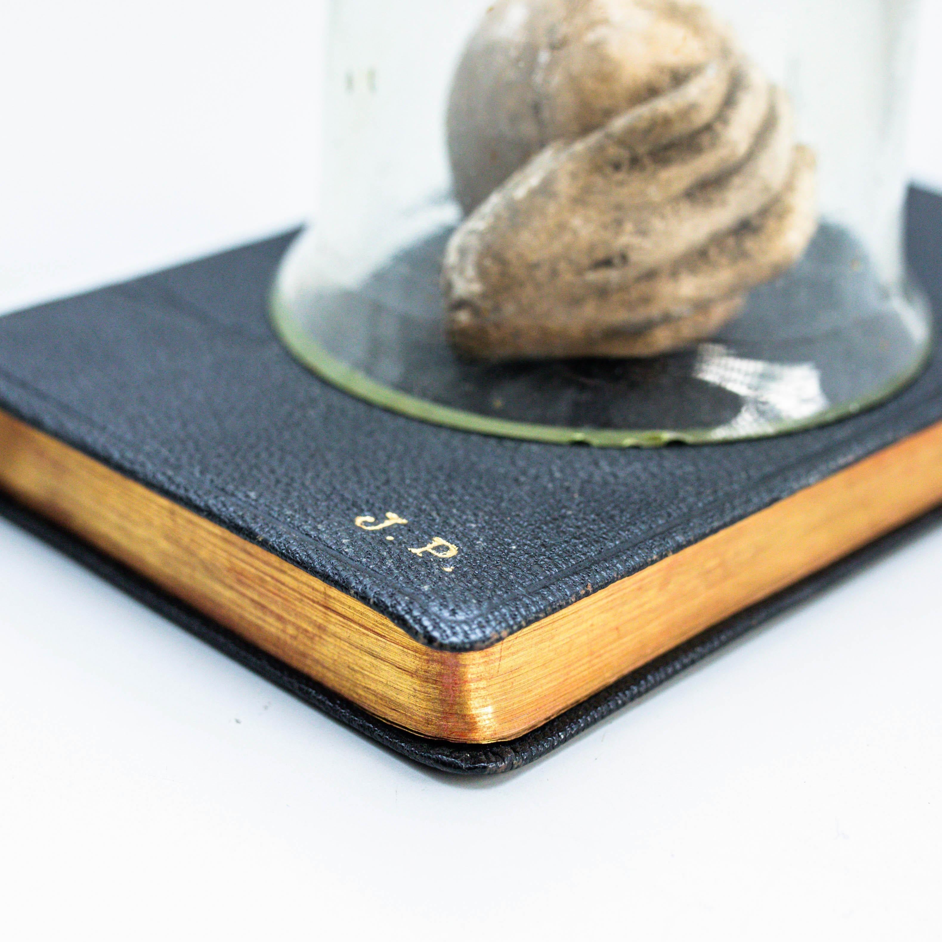Opera d'arte con vecchio libro e mano misteriosa, circa 1990 in vendita 1