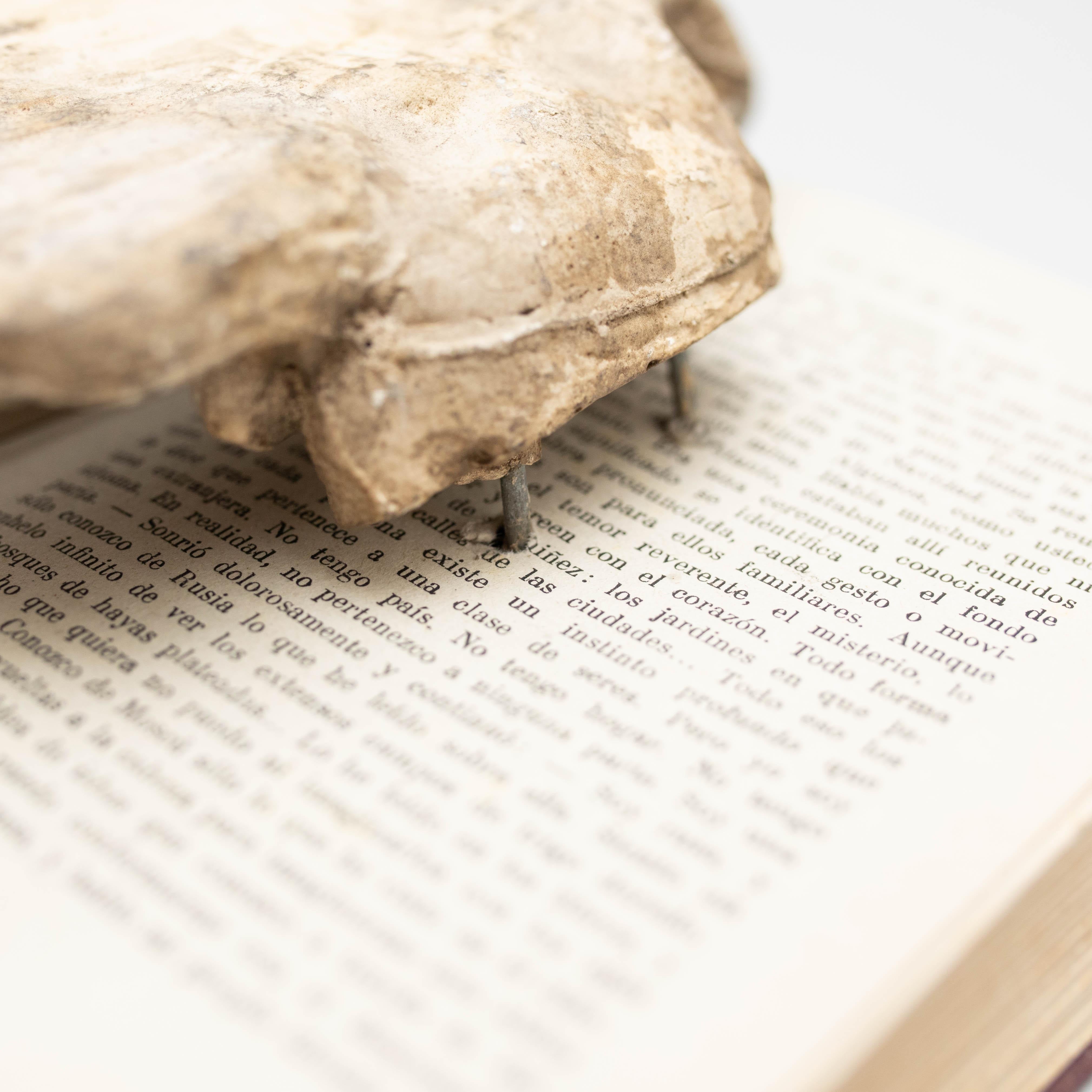 Opera d'arte con libro antico e ali di scultura misteriosa, circa 1990 in vendita 4