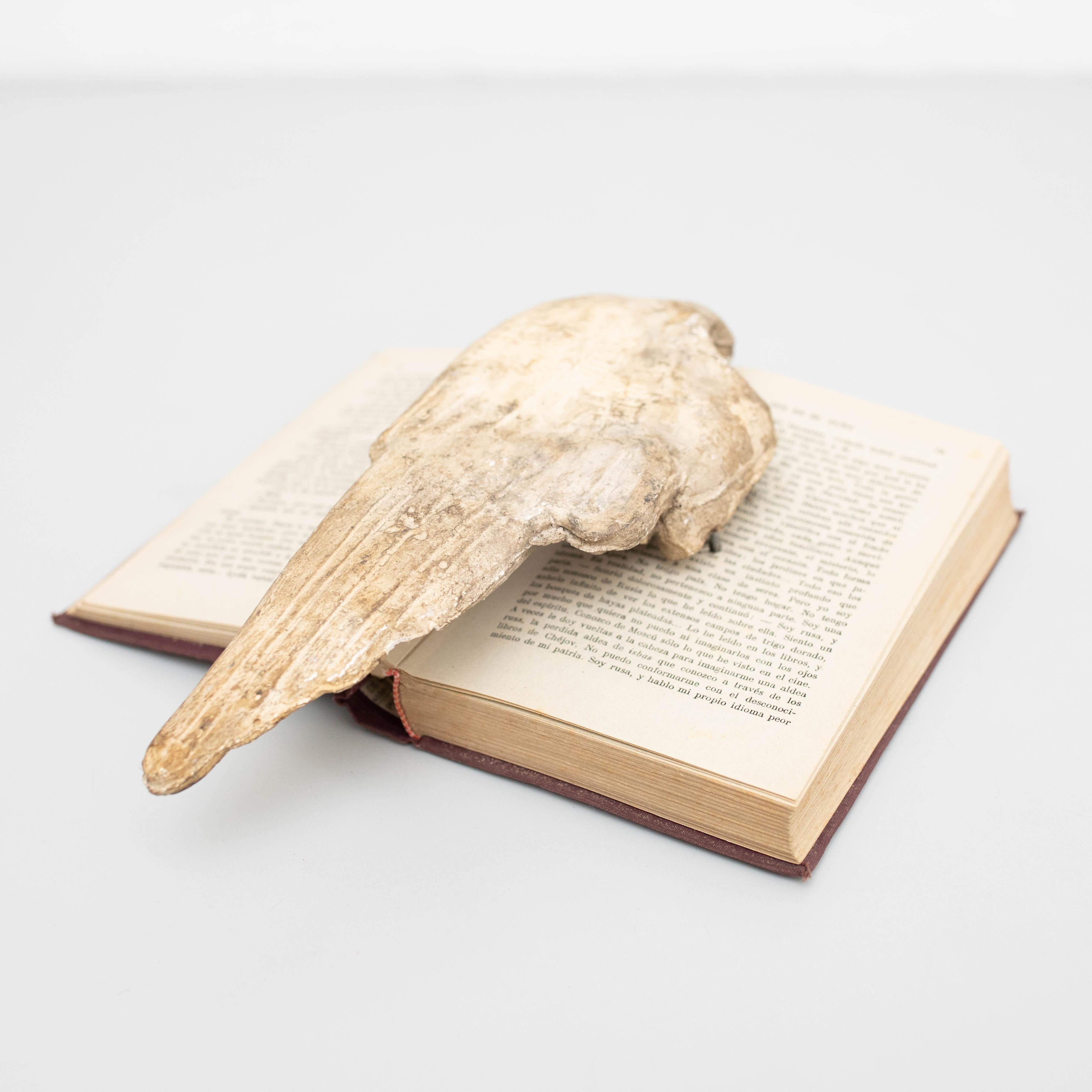 Opera d'arte con vecchio libro e misteriose ali scultoree.    Realizzato da un artista sconosciuto in Spagna, intorno al 1990.    In condizioni originali, con lievi usure dovute all'età e all'uso, che conservano una bella patina.     Materiali: 