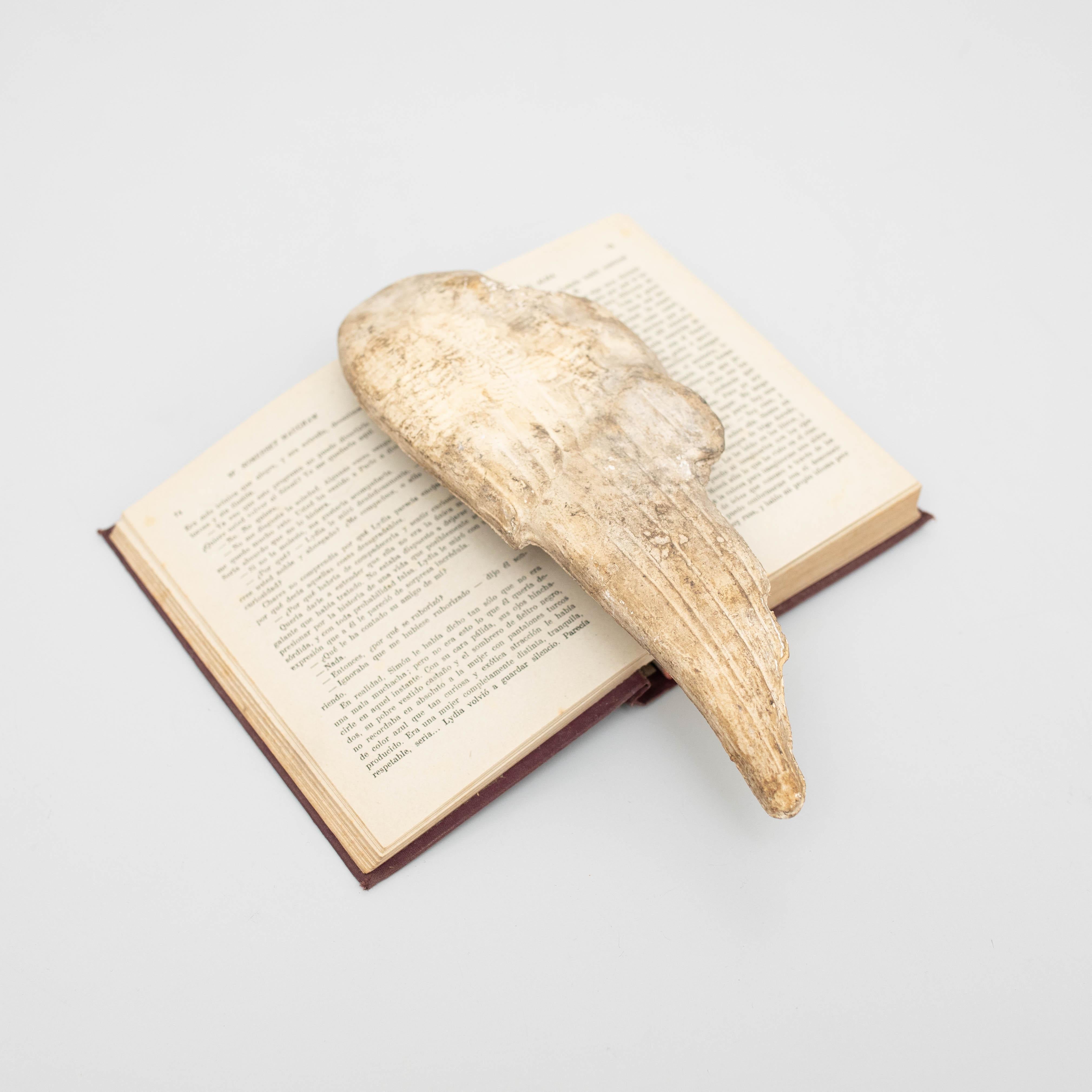 libro con le ali