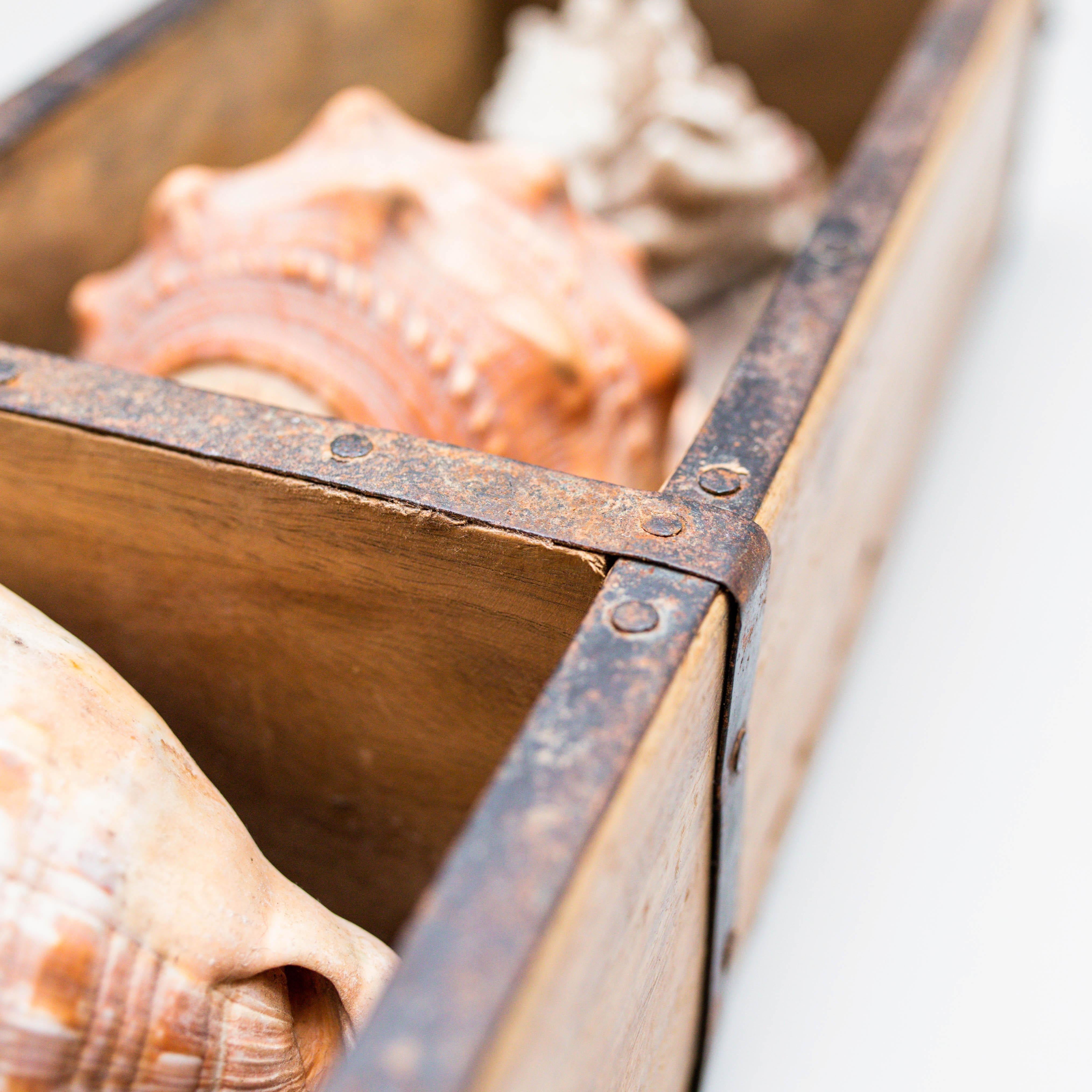 Artwork with Shells, Circa 1990 For Sale 6