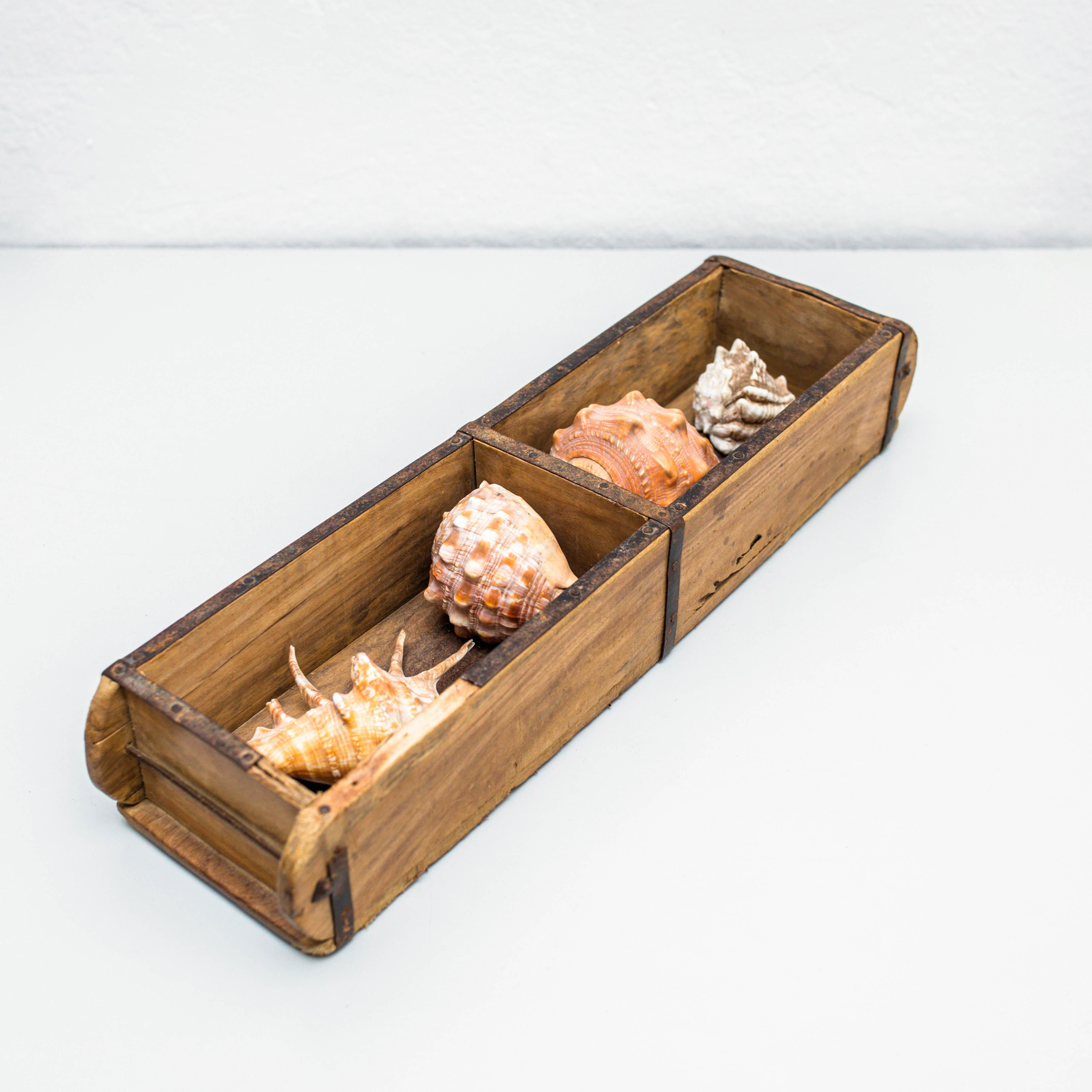 Artwork with Shells, Circa 1990 For Sale 7