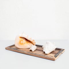 Artwork with Shells, Circa 1990