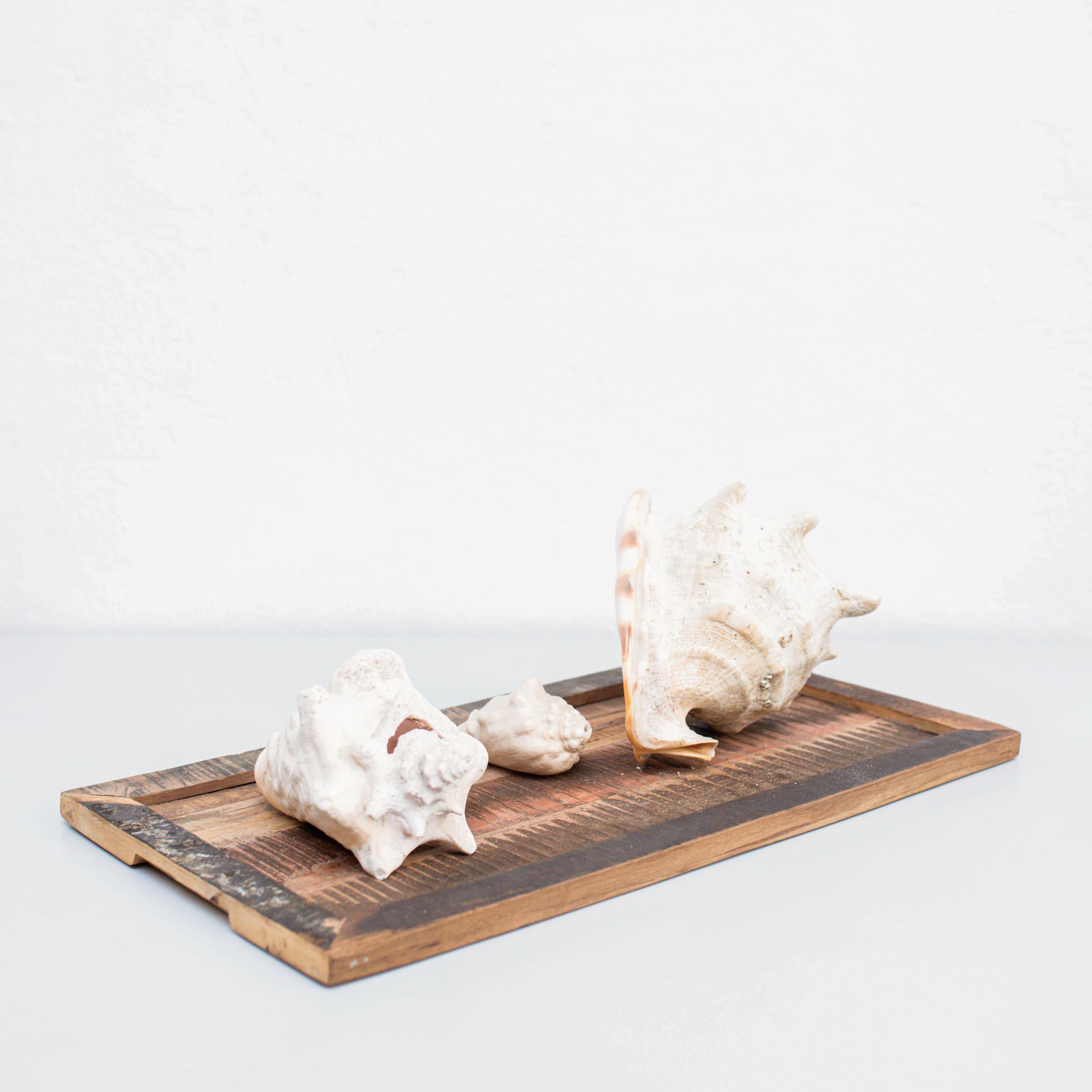 Spagnolo Opera d'arte con conchiglie, circa 1990 in vendita