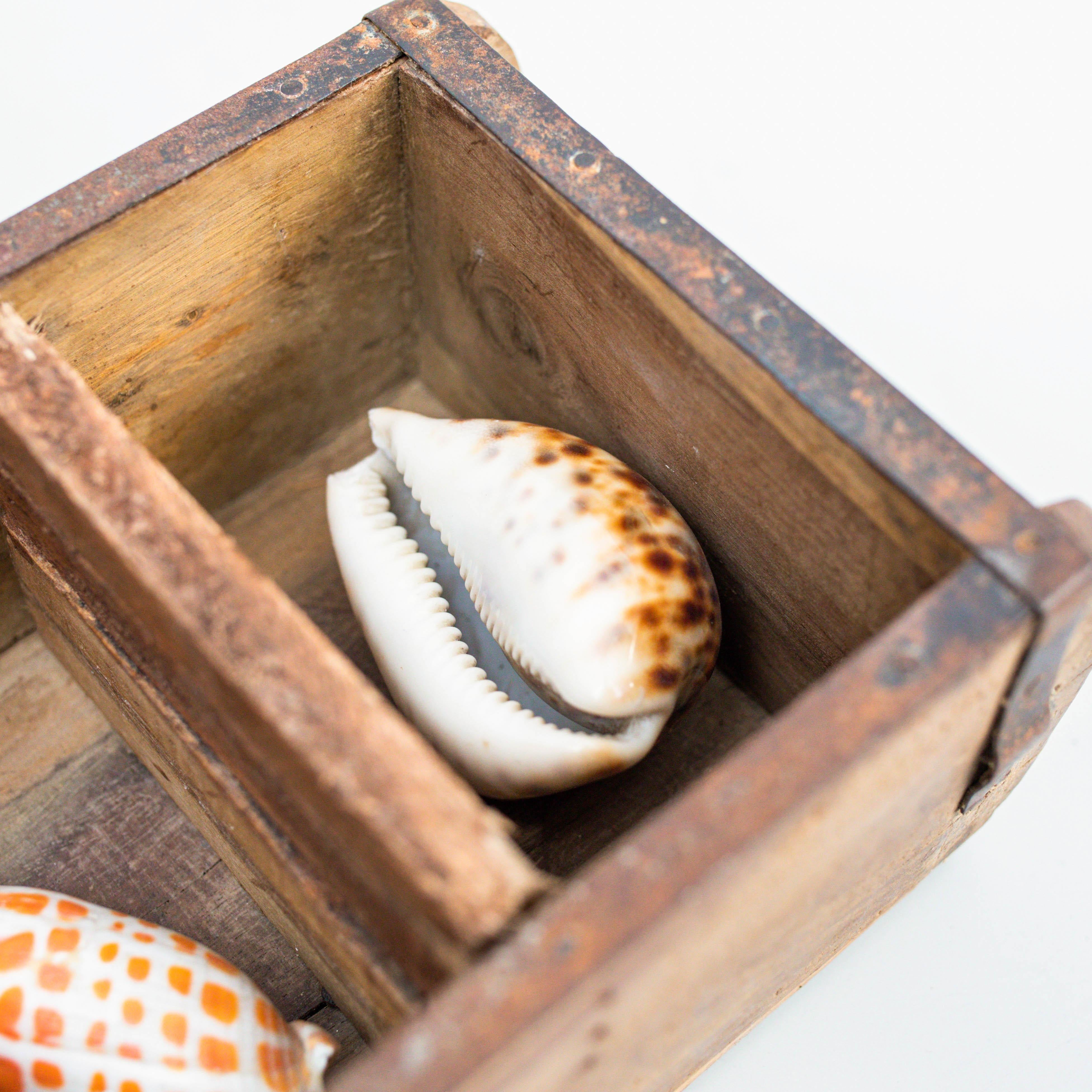 Espagnol Œuvres d'art avec des coquillages, vers 1990 en vente