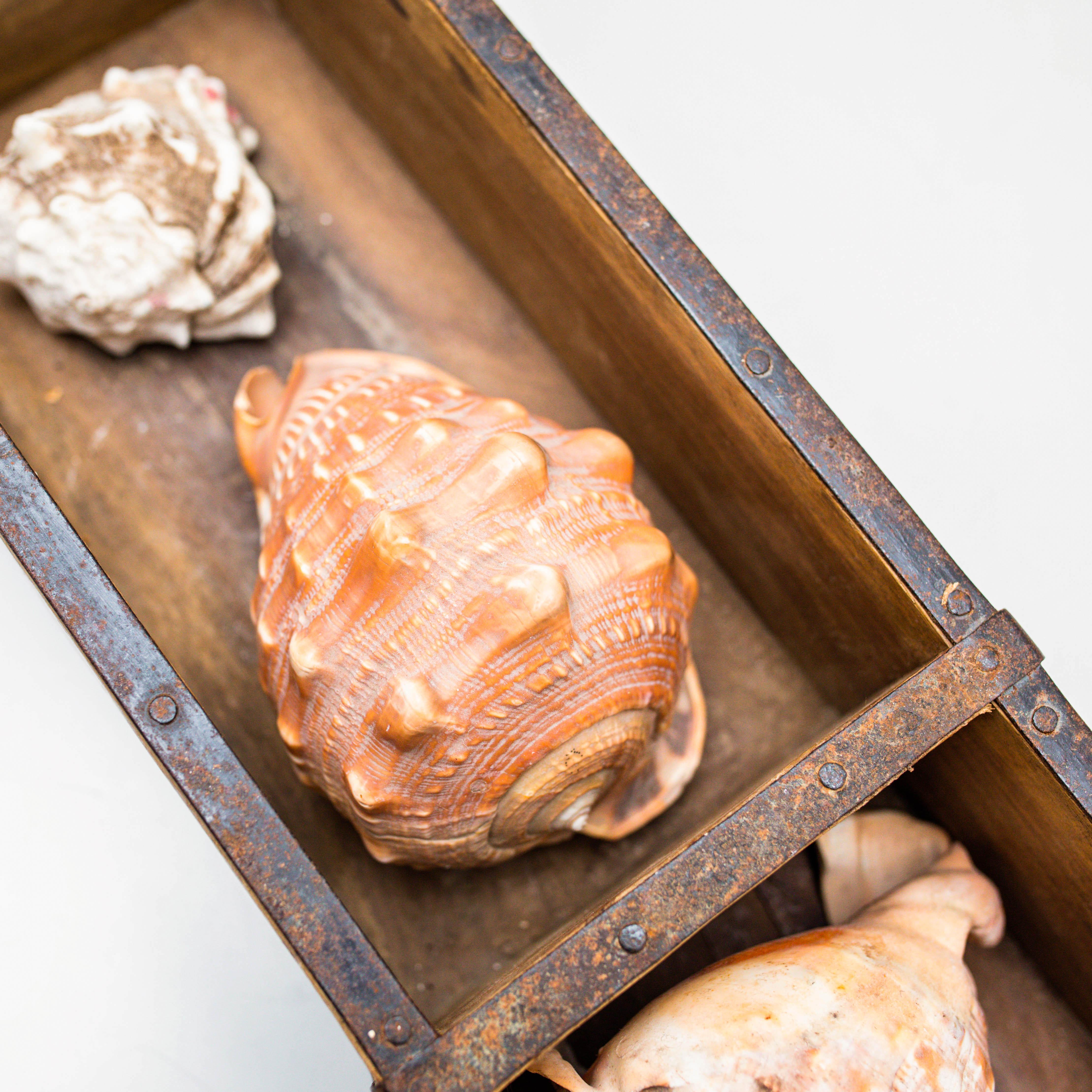 Artwork with Shells, Circa 1990 In Good Condition For Sale In Barcelona, ES