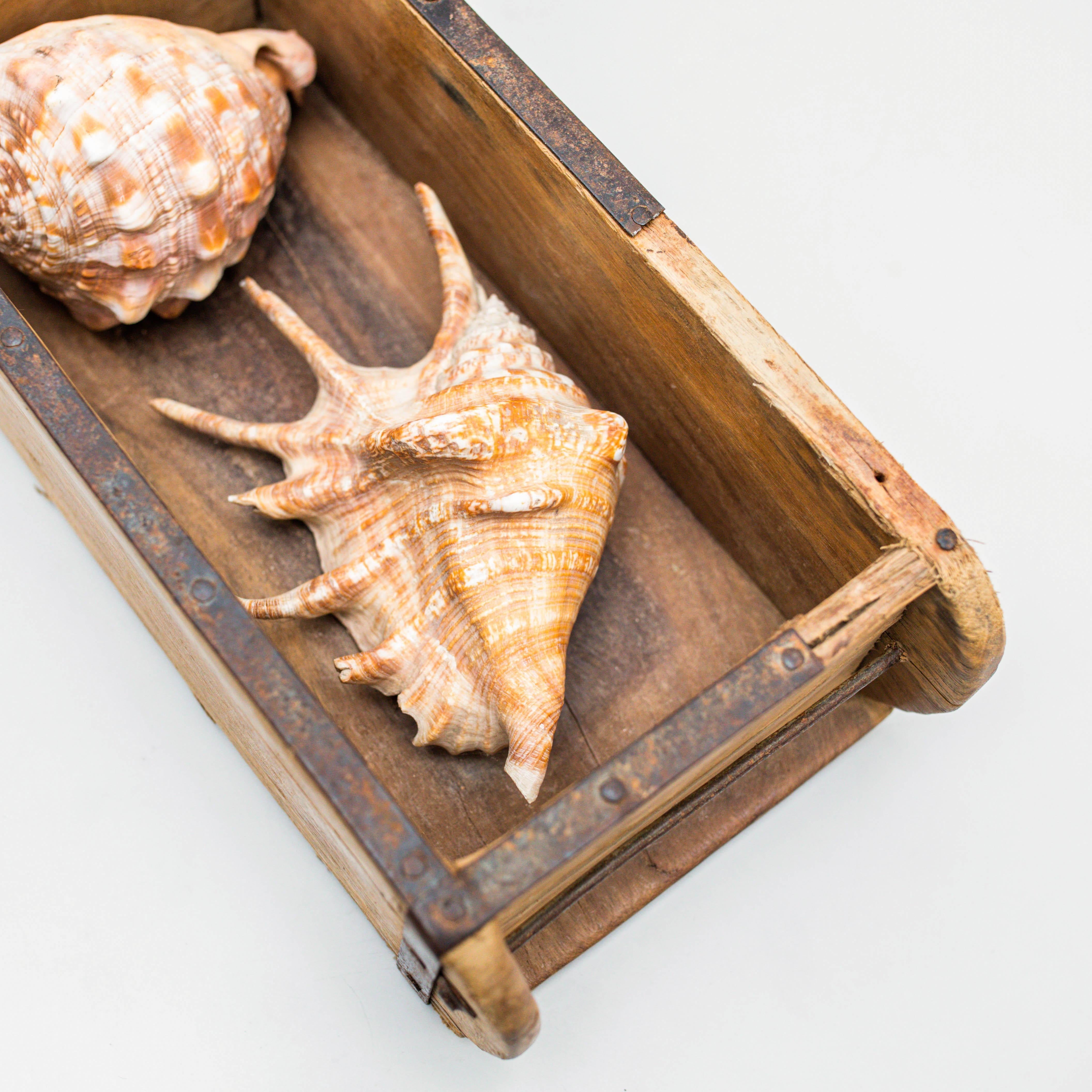 Artwork with Shells, Circa 1990 For Sale 1