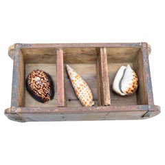Obra de arte con conchas, circa 1990