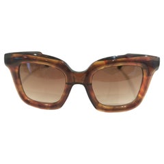 Aru brown sunglasses NWOT
