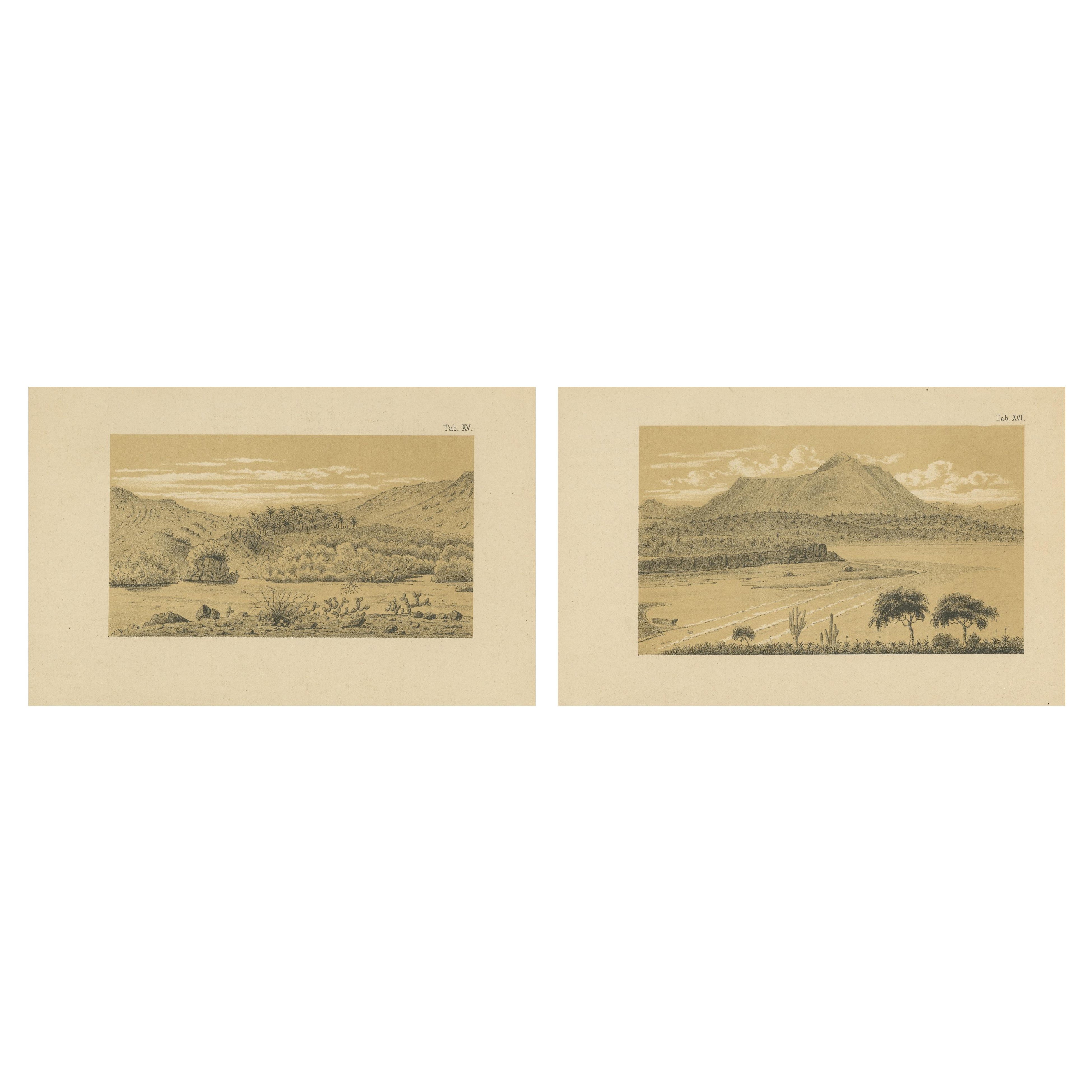 Vues de paysages et de montagnes d
Aruba - Antilles néerlandaises par Karl Martin, 1888