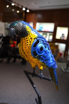 ARUN A - Parrot