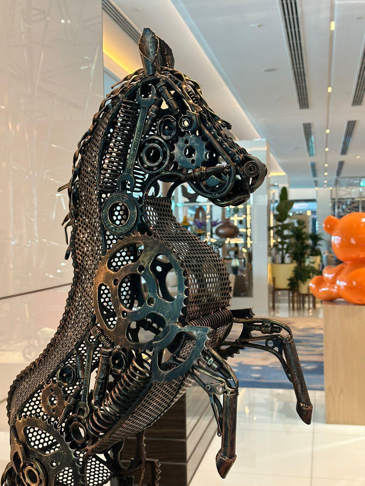 ARUN A – Pferd im Angebot 2