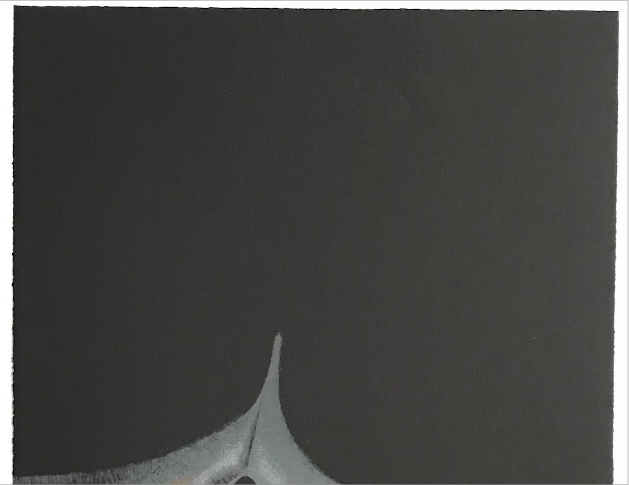 BIOMORPHIC ABSTRACT Signierte Lithographie Surrealistische Nature Form, Südasiatischer Künstler im Angebot 2