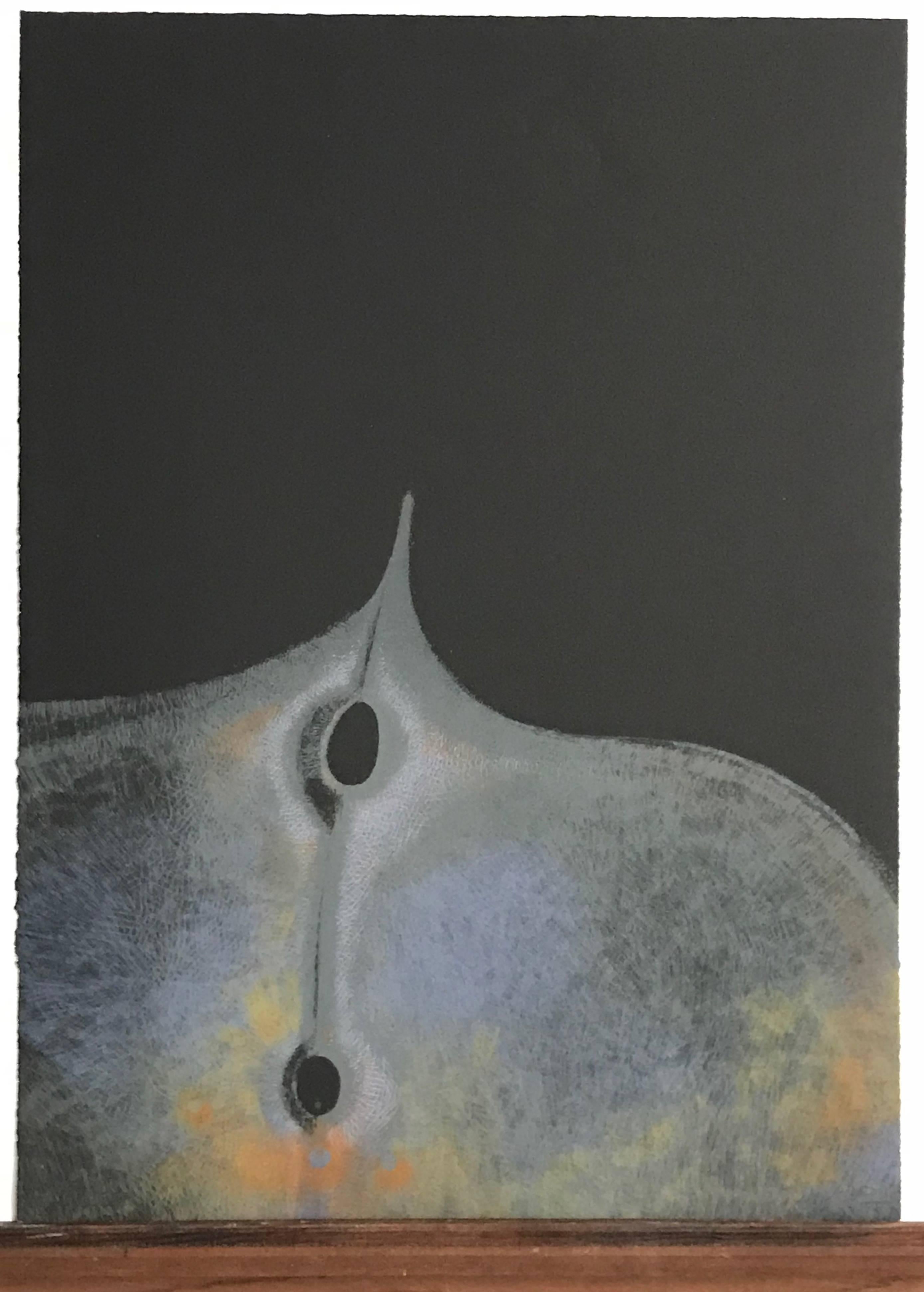 BIOMORPHIC ABSTRACT Signed Lithograph, Opaque Colors on Black, South Asian Art - Print by Arun Bose