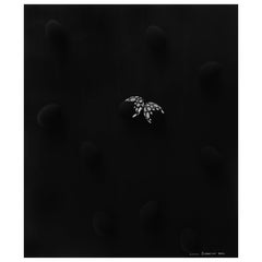 As One by Larisa Safaryan  Acrylic paint and eggshells on canvas