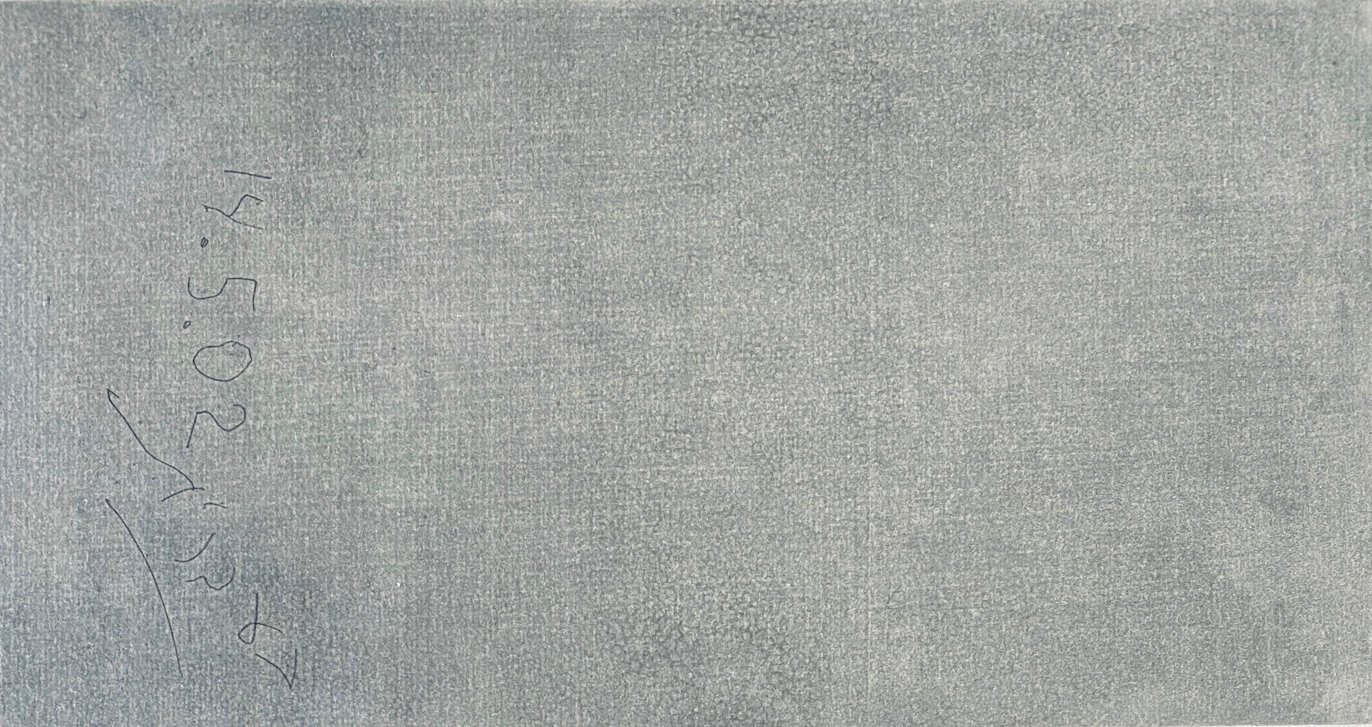 Grabado Modernista Abstracto Israelí - Vivo Y Extranjero En Jerusalén - Abstract Print Gris de Asaf Ben Tzvi