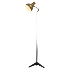 ASEA Swedish Floor Lamp in Brass