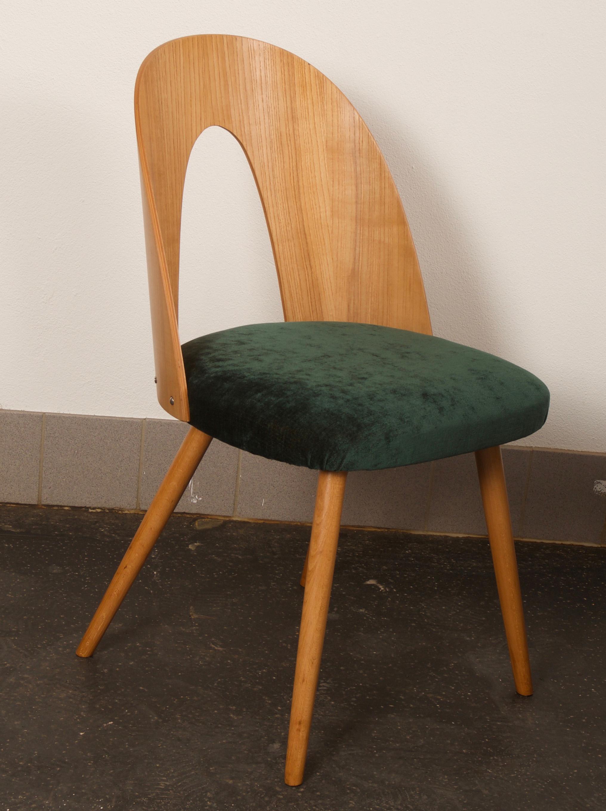 Czech Ash Dining Chairs by Antonin Suman for Tatra