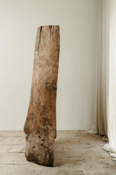 ash dugout treetrunk  ...