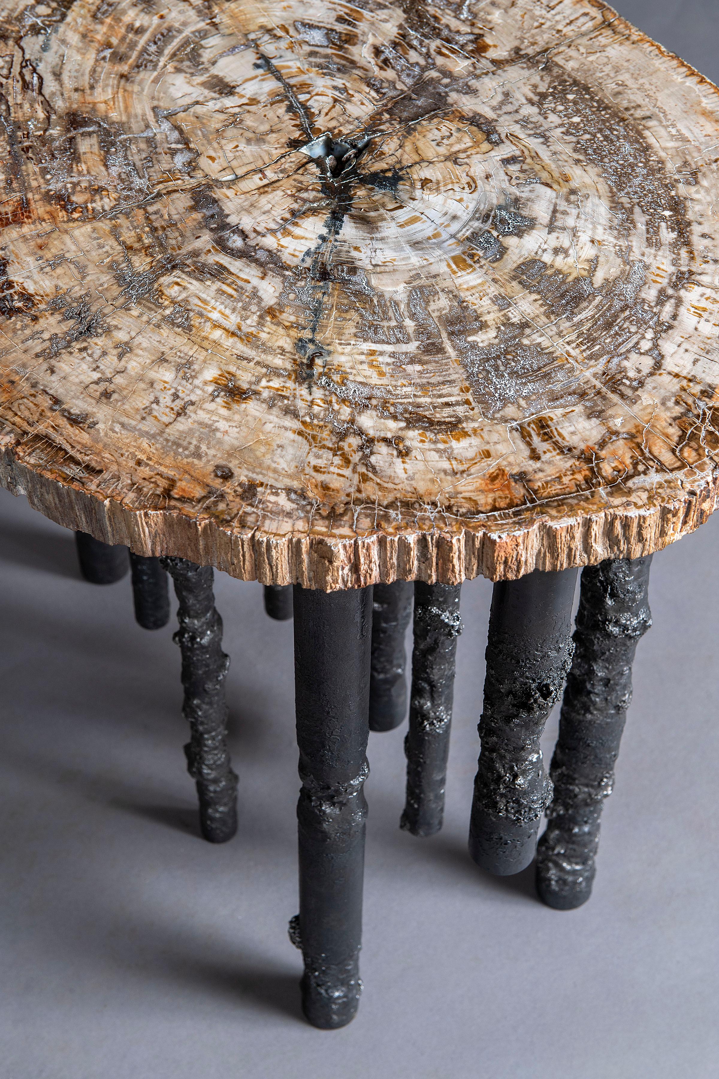 Handgefertigter skulpturaler Beistelltisch aus versteinertem Holz und Stahl aus Eisen, Unikat (Organische Moderne) im Angebot