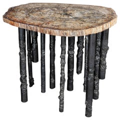 Hand Crafted Petrified Wood And Steel Sculptural One Of A Kind Iron Side Table