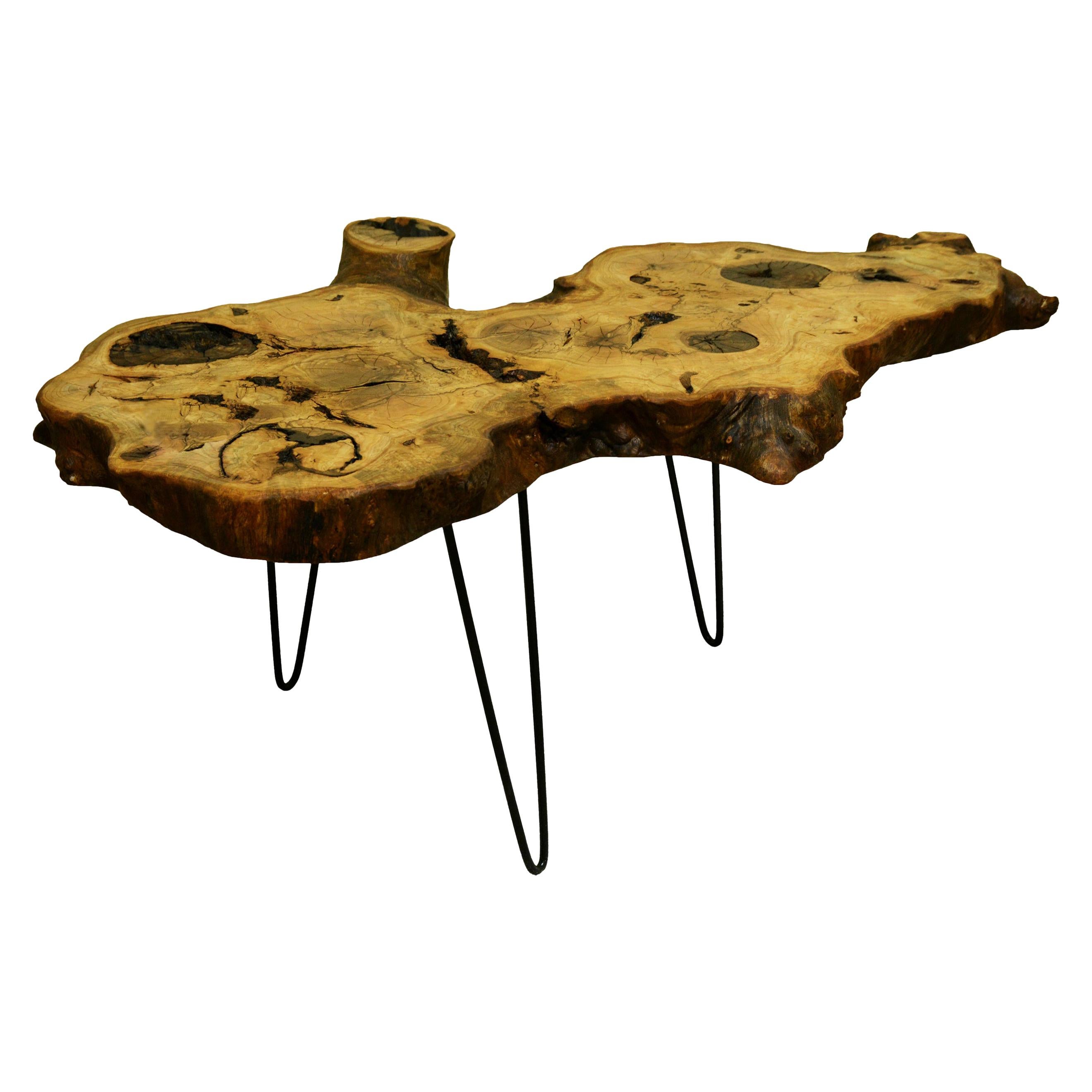 Ash Tree Live Edge Coffee Table with Hairpin Legs / LECT104 For Sale