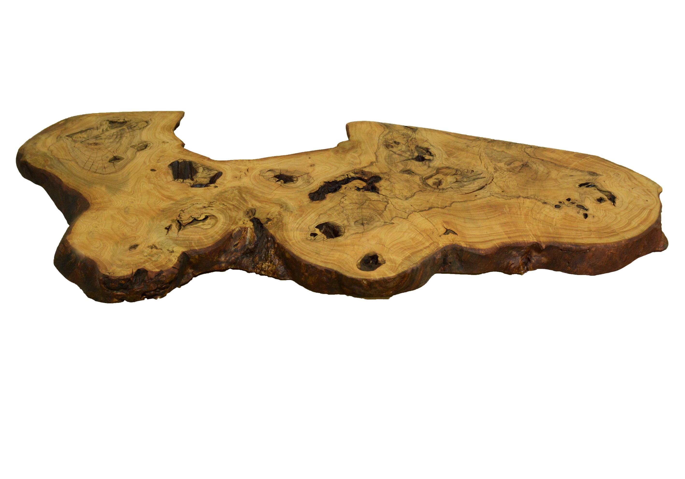 Introduce a raw naturalistic style to your living space with a naturalist live edge coffee table. Using only salvaged wood, it takes a hunter’s eye to recognize them in the wild. It takes a creative visionary to see each fallen tree as a powerful