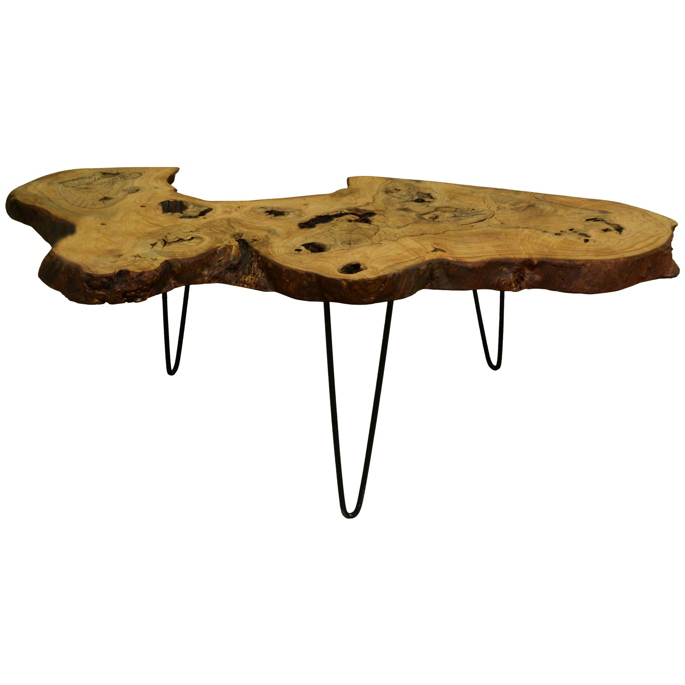 Ash Tree Live Edge Coffee Table with Hairpin Legs / LECT138 For Sale