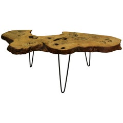 Ash Tree Live Edge Coffee Table with Hairpin Legs / LECT138