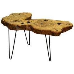 Ash Tree Live Edge Coffee Table with Hairpin Legs / LECT140
