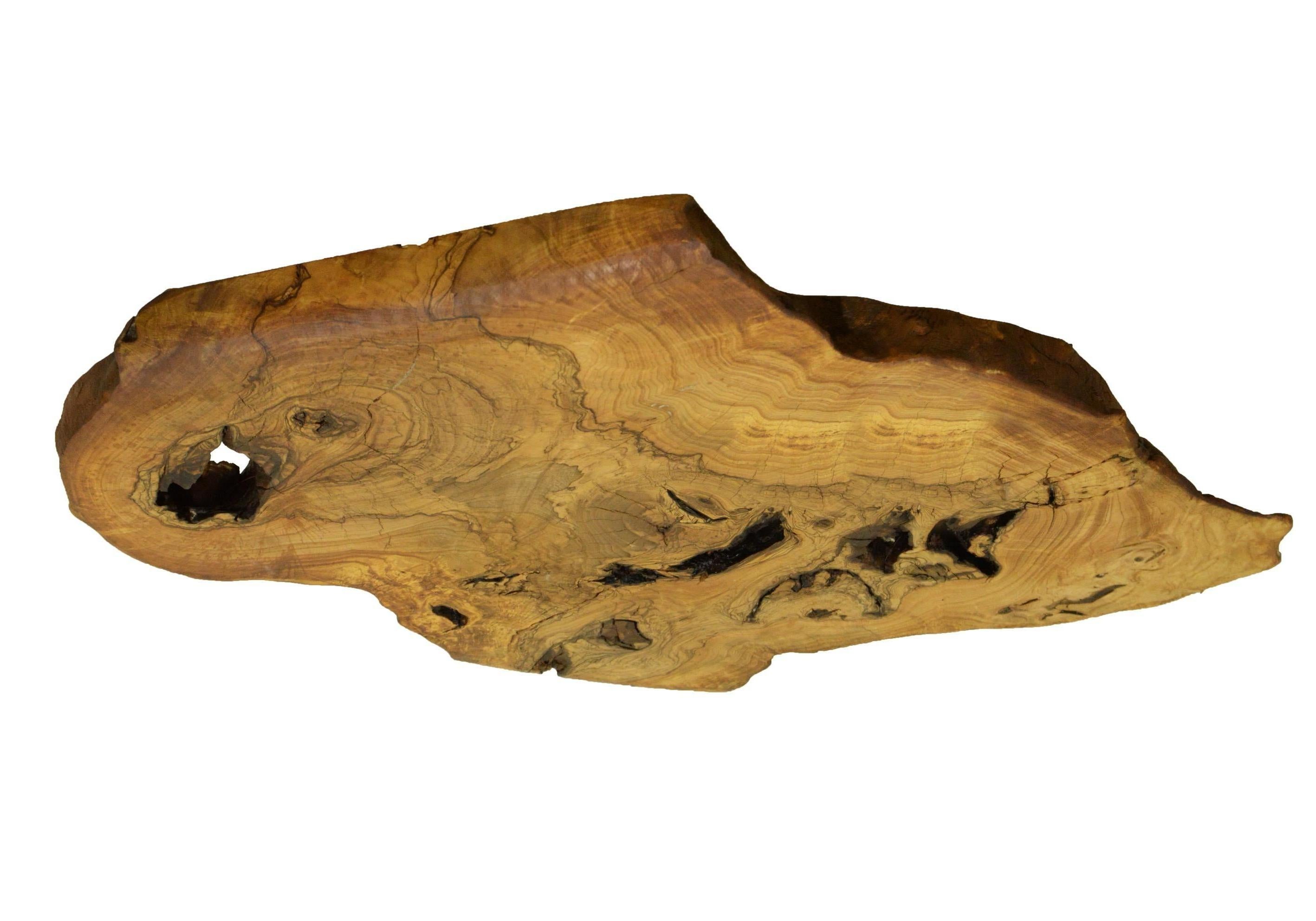 Mid-Century Modern Ash Tree Live Edge Coffee Table with Hairpin Legs / LECT151 For Sale