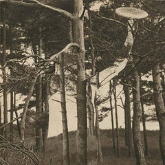Crust-ch2-F3-7, Ashkan Honarvar, 2012, Collage, Mixed Media, Contemporary Art