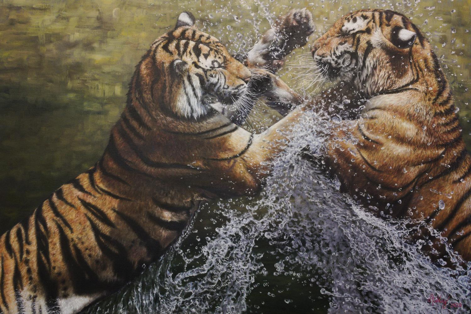 Clash-original modern realism wildlife-tigers oil paintings-contemporary art - Painting by Ashley Davies