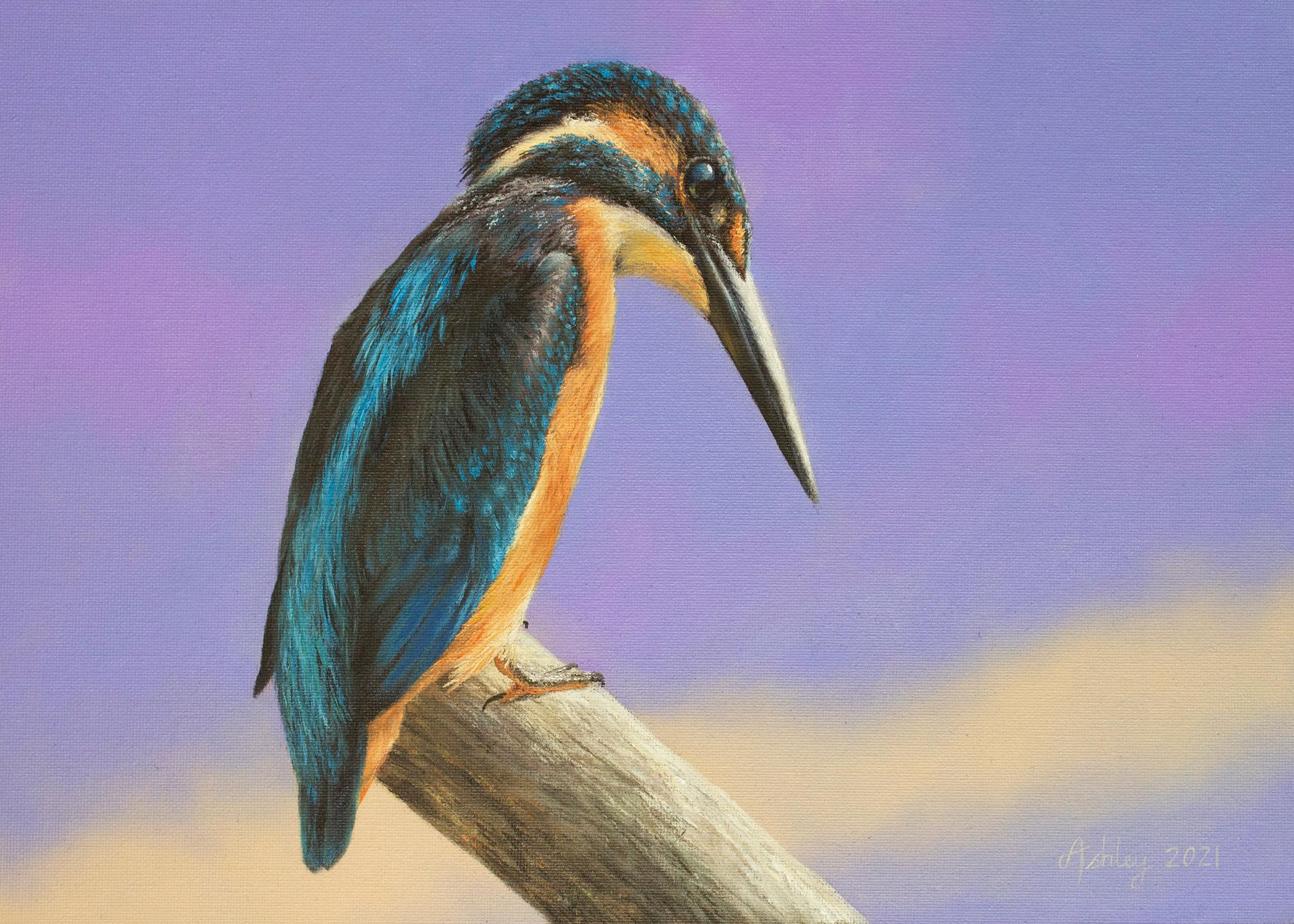 Kingfisher-original realism wildlife birds oil painting-artwork-contemporary ART - Painting by Ashley Davies