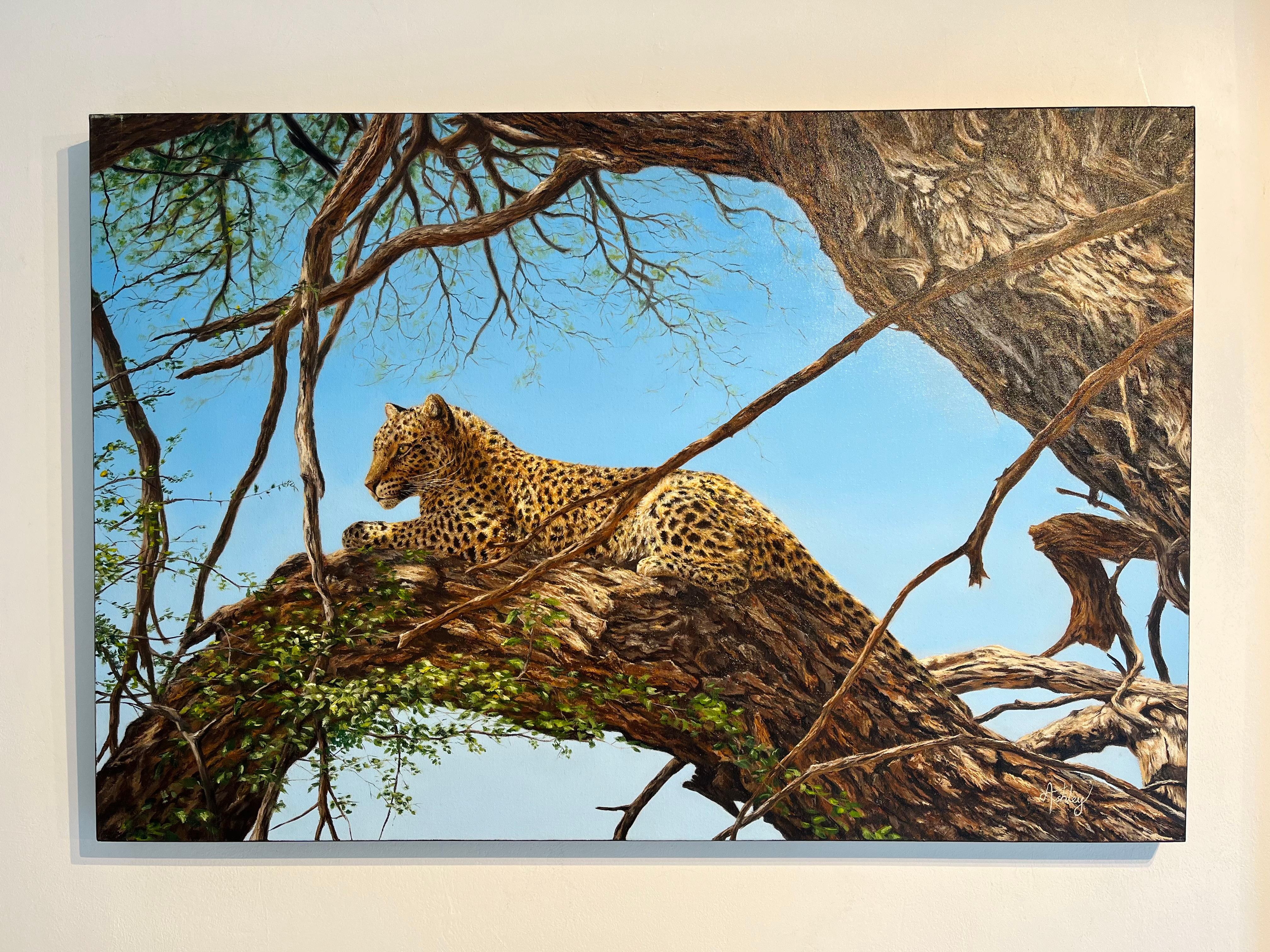 Treetop Lookout-original realism wildlife-leopard oil painting-contemporary Art - Realist Painting by Ashley Davies