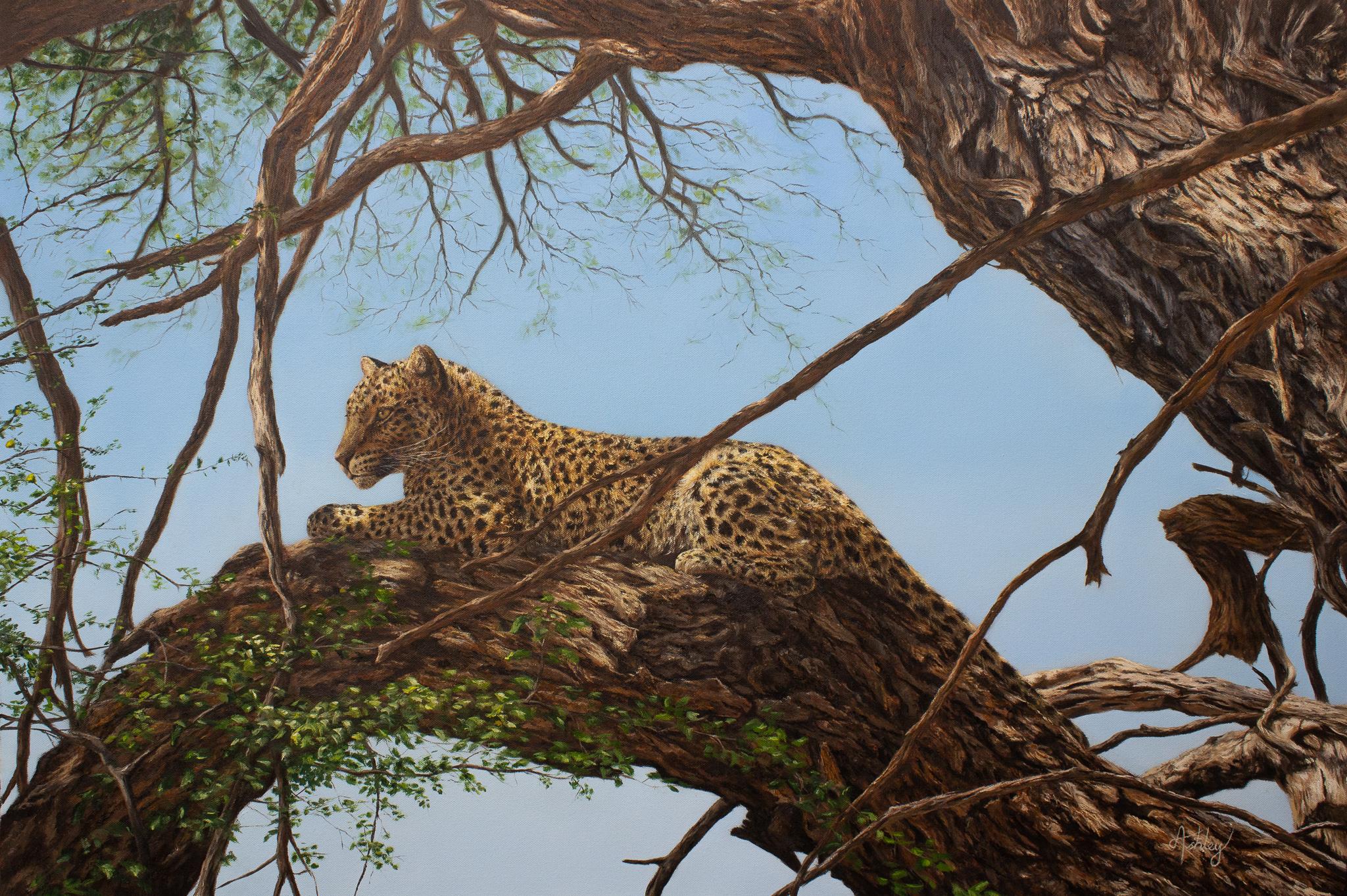 Treetop Lookout-original realism wildlife-leopard oil painting-contemporary Art - Painting by Ashley Davies