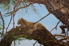 Treetop Lookout-original realism wildlife-leopard peinture à l'huile-art contemporain