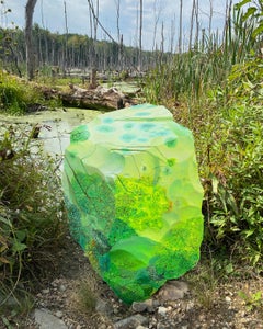 Être agité dans le marais de Saint Barrett