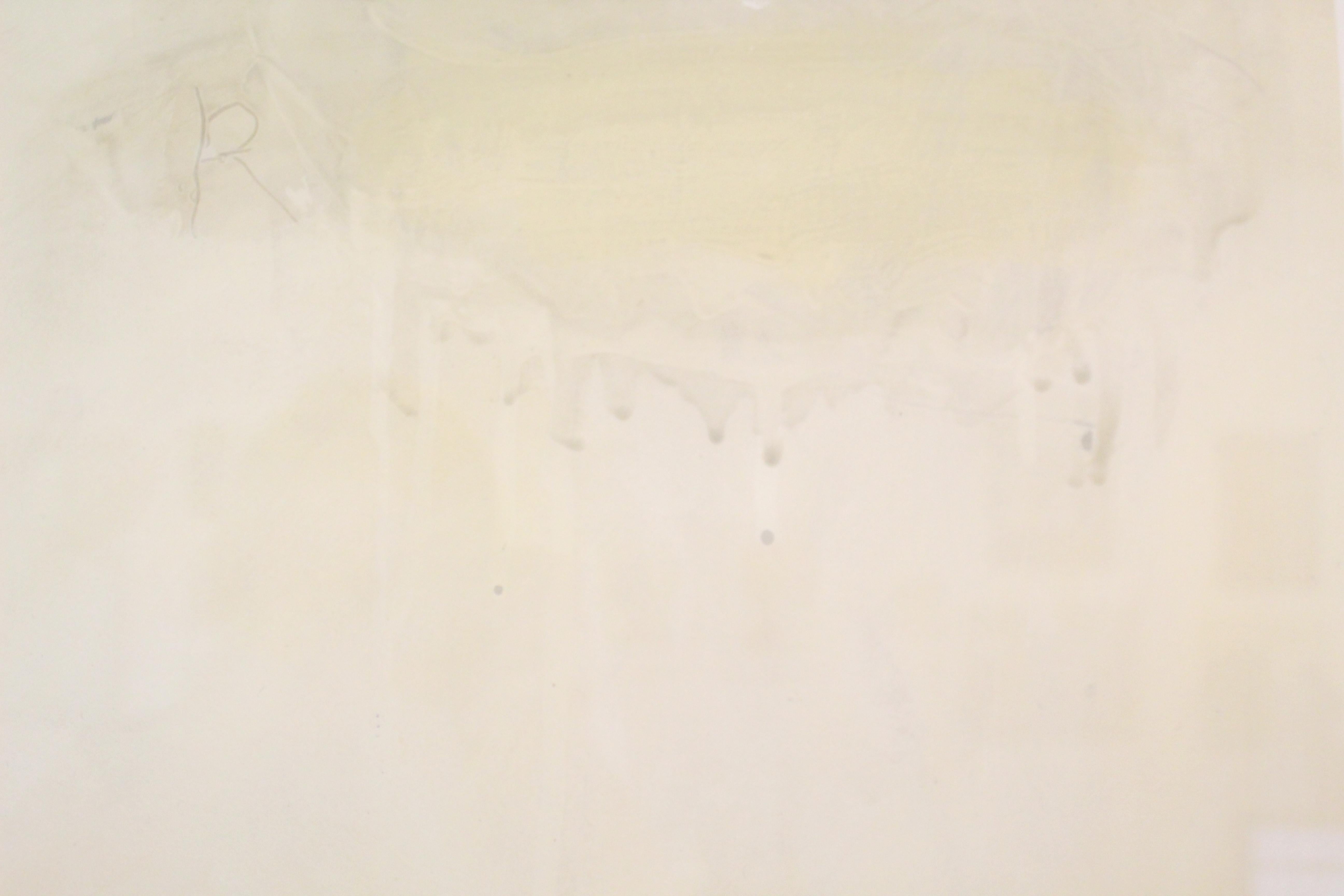 Ashlie Benton, Inspiration, Framed white wood frame 5