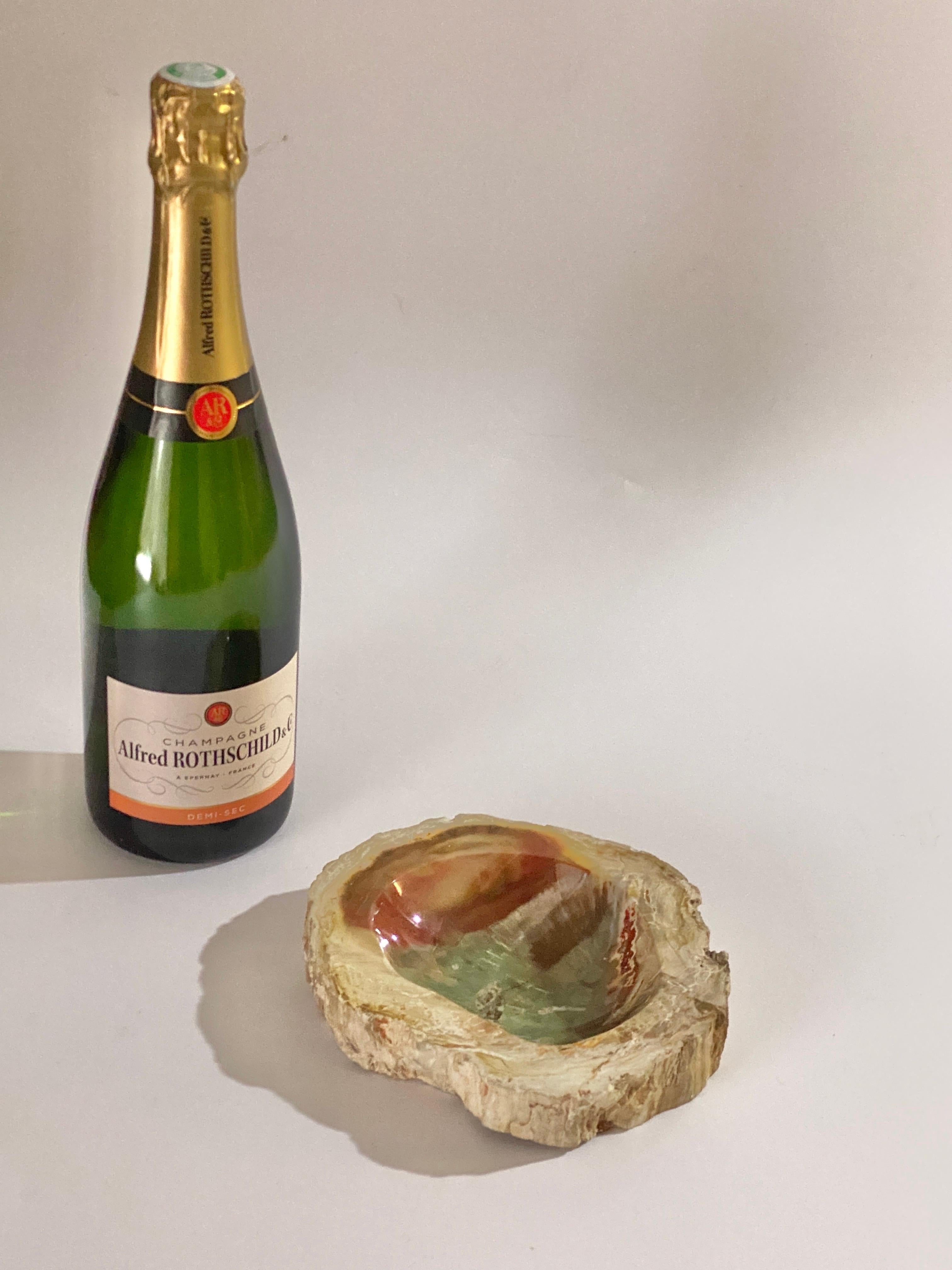 Ashtray in Petrified Wood, 15th Century and Earlier Organic Modern For Sale 5