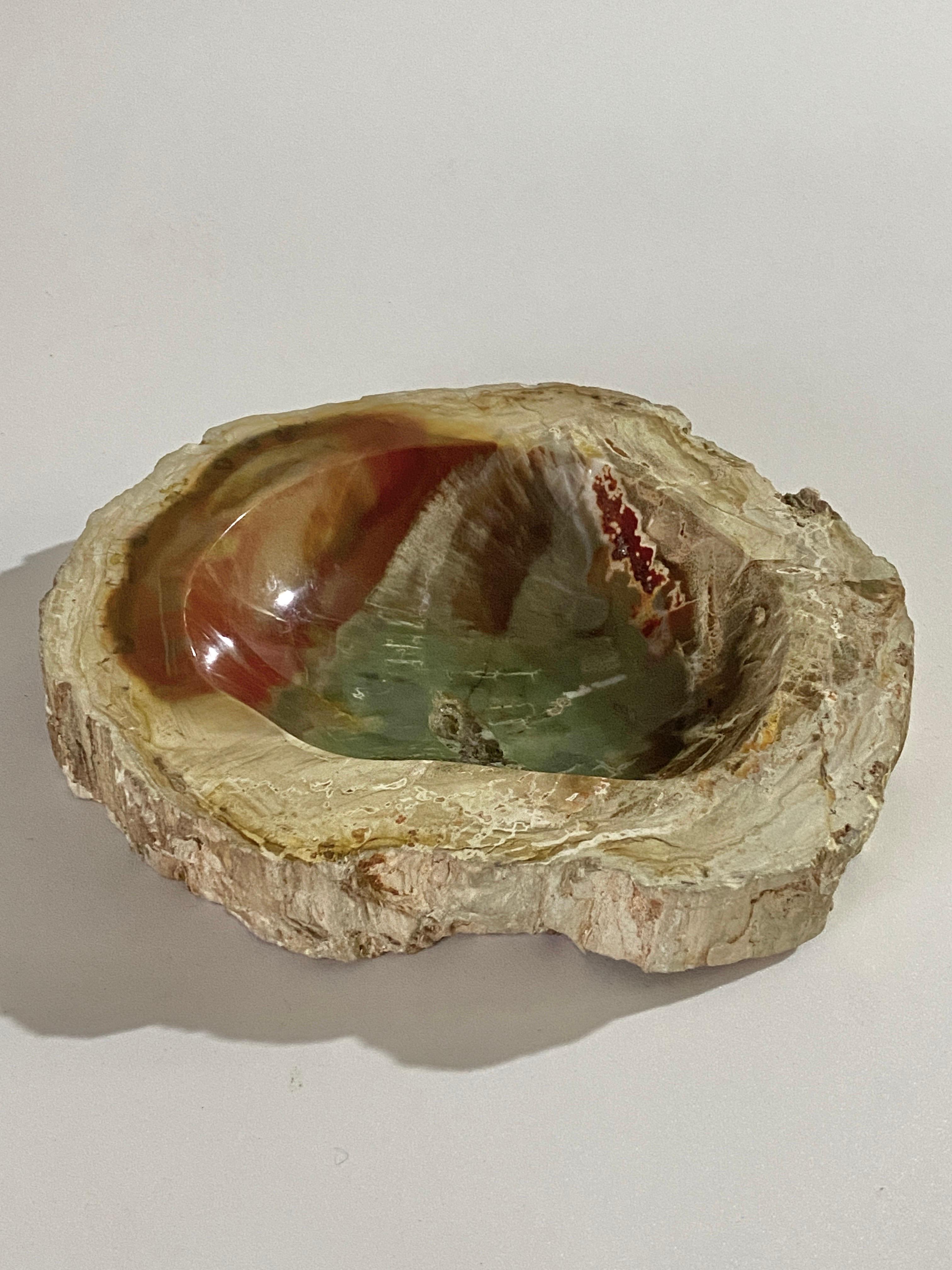 Seychellois Ashtray in Petrified Wood, 15th Century and Earlier Organic Modern For Sale