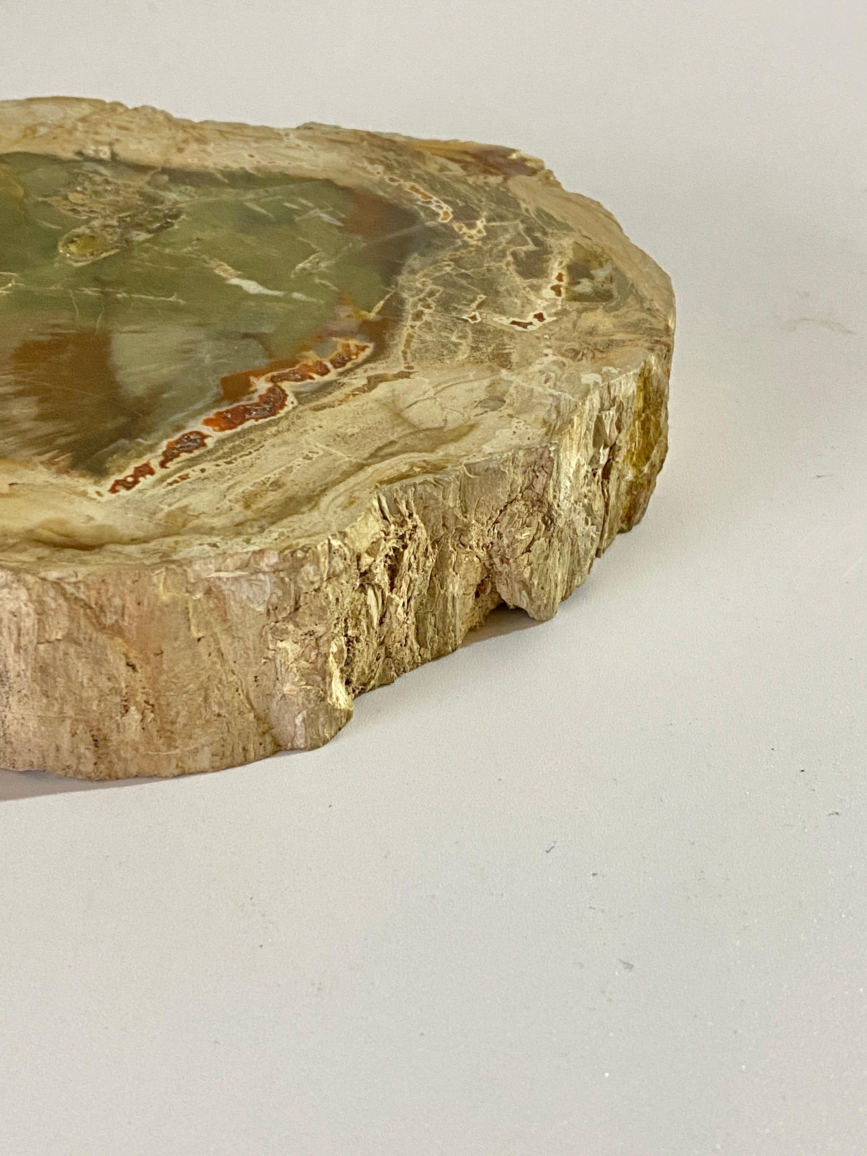 Ashtray in Petrified Wood, 15th Century and Earlier Organic Modern In Good Condition For Sale In Auribeau sur Siagne, FR