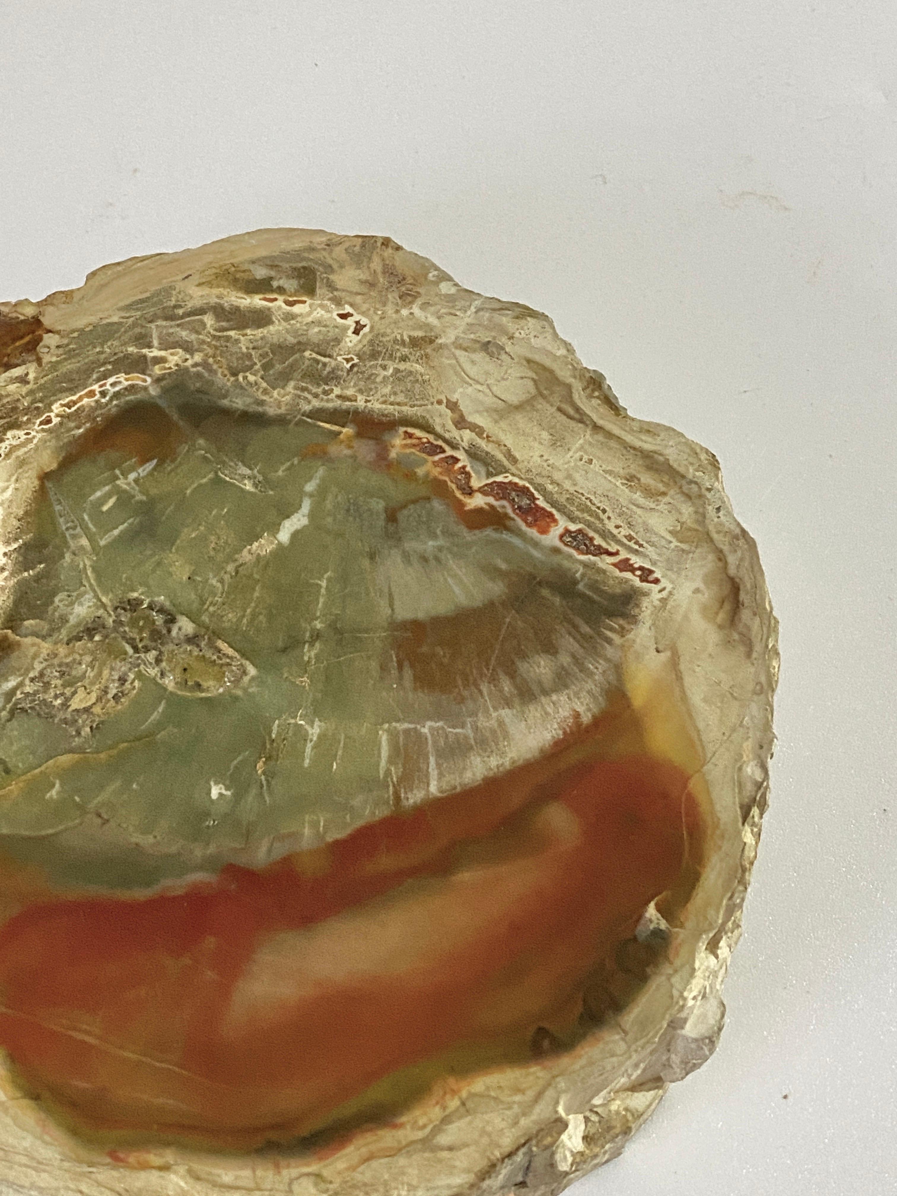18th Century and Earlier Ashtray in Petrified Wood, 15th Century and Earlier Organic Modern For Sale