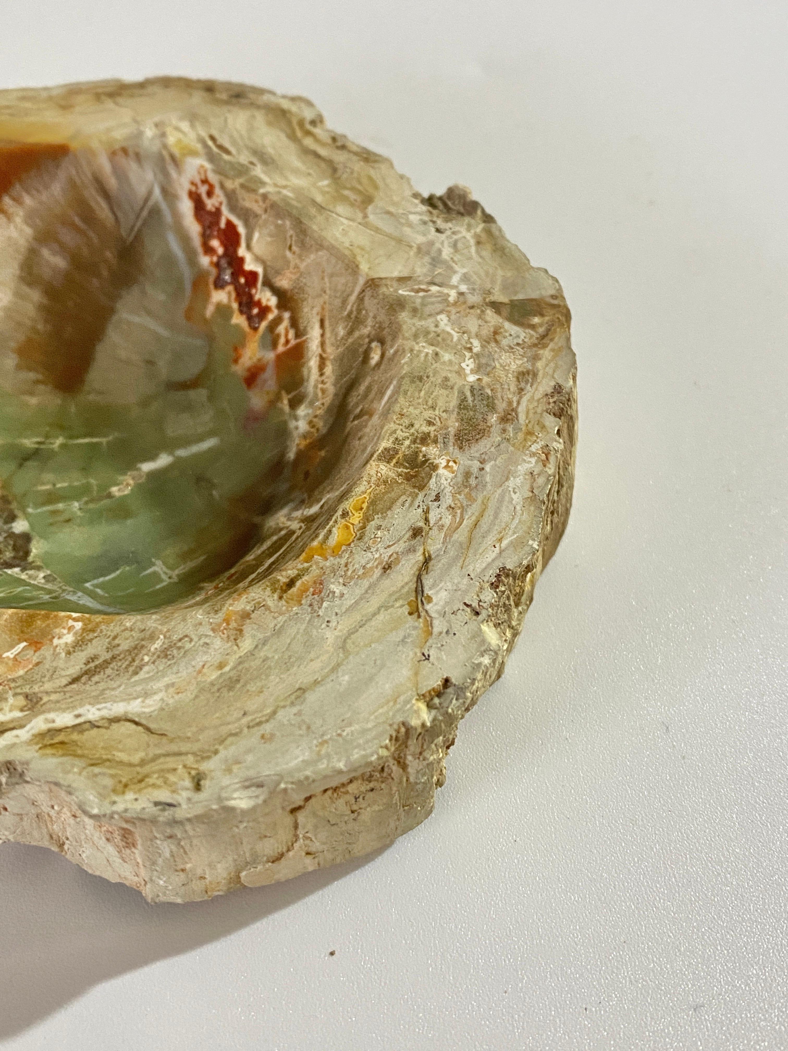 Ashtray in Petrified Wood, 15th Century and Earlier Organic Modern For Sale 2
