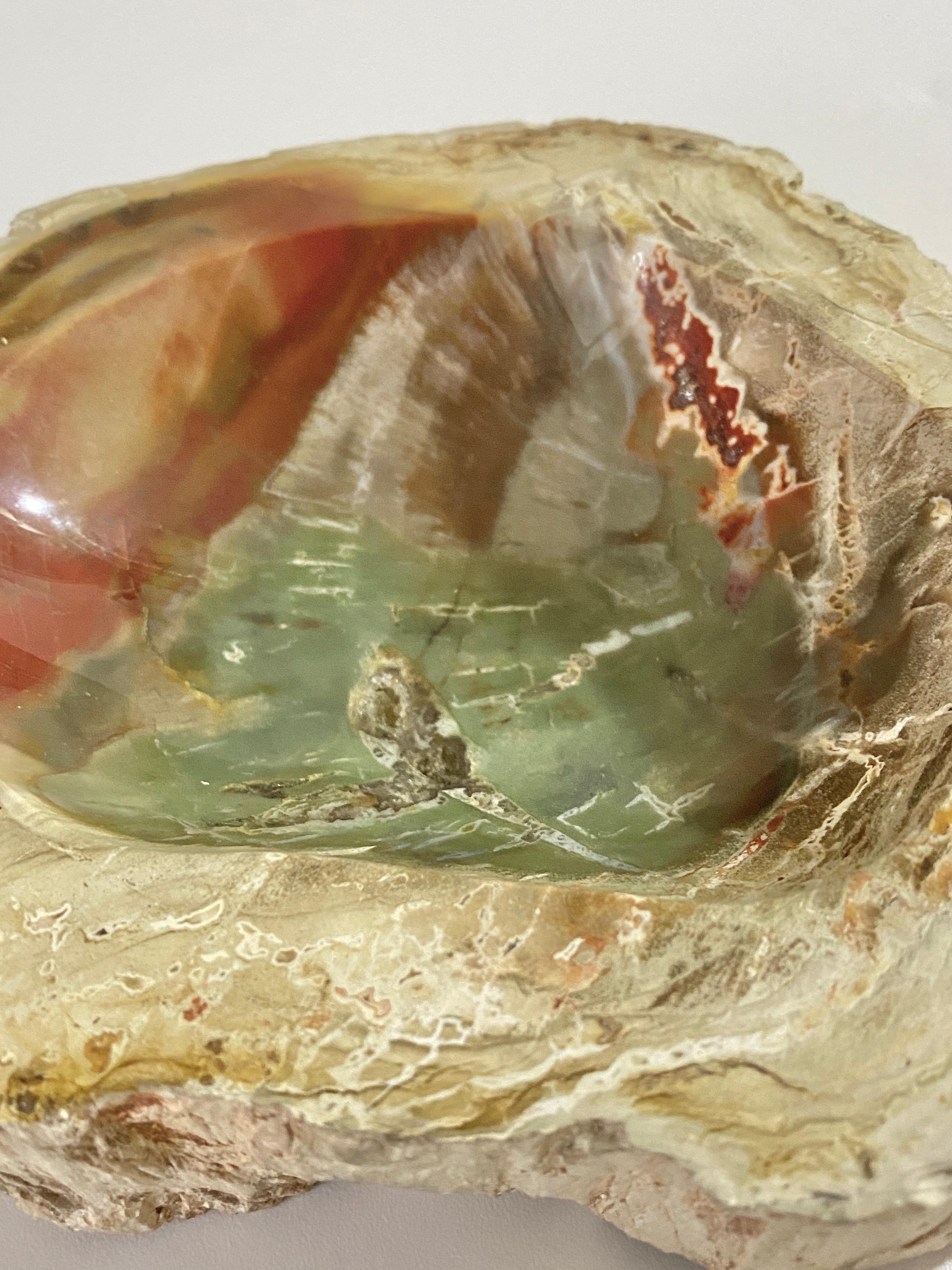 Ashtray in Petrified Wood, 15th Century and Earlier Organic Modern For Sale 3