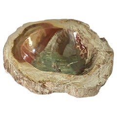 Antique Ashtray in Petrified Wood, 15th Century and Earlier Organic Modern