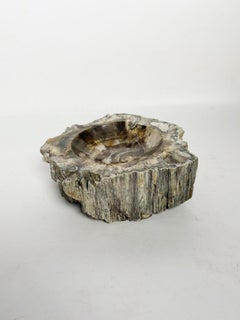 Cenicero de madera fosilizada, Francia, XIX