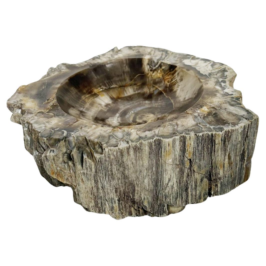 Ashtray made of fossilized wood, France, 19th
