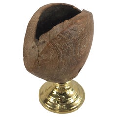 Cendrier en forme de coquille en bois et laiton de Gabriella Crespi